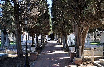 Pasillo Cipreses Cementerio de San Juan Bautista