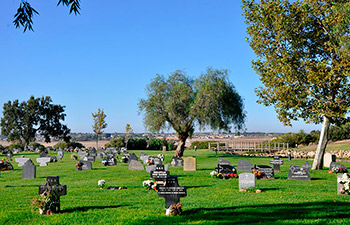 Pradera Cementerio Mancomunado Chiclana